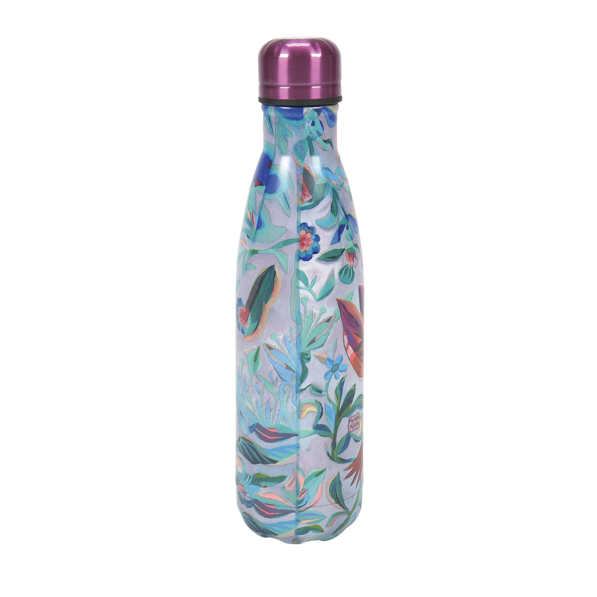 Hummingbird Water Bottle – Allen Designs Studio