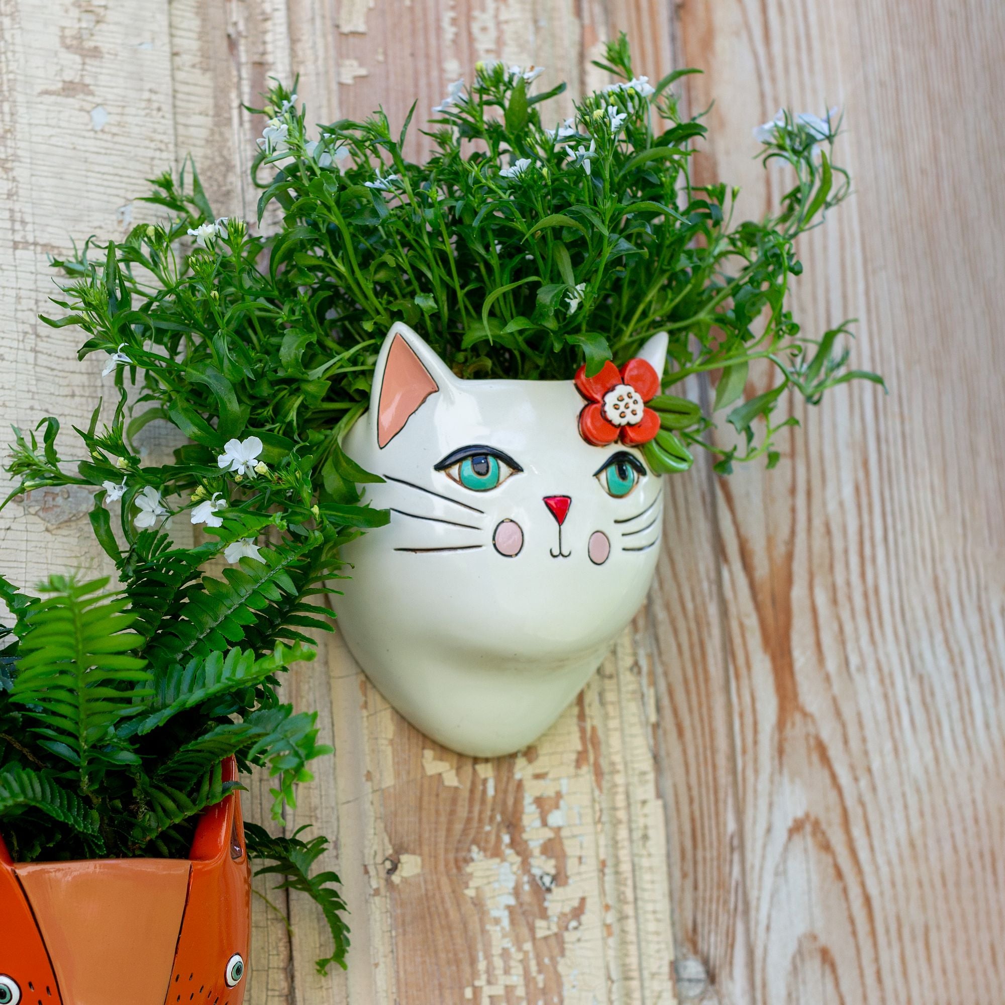 Pretty Kitty Wall Planter
