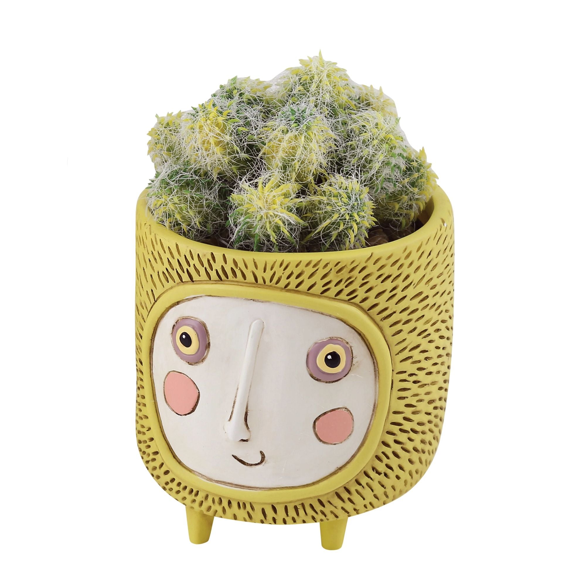 Baby Sun Planter